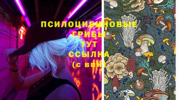 jwh Аркадак