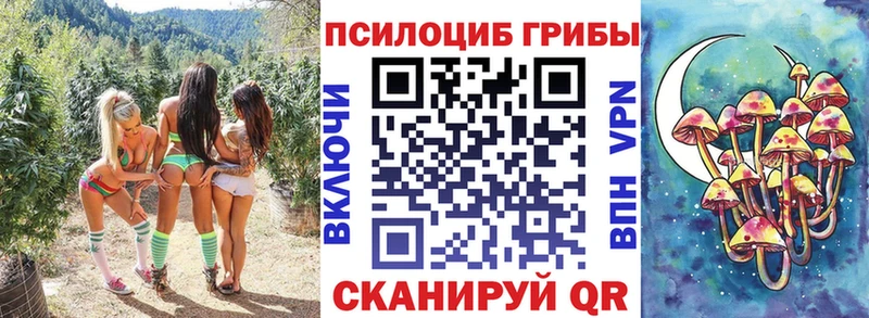 Псилоцибиновые грибы Psilocybe  MEGA ссылка  Родники 